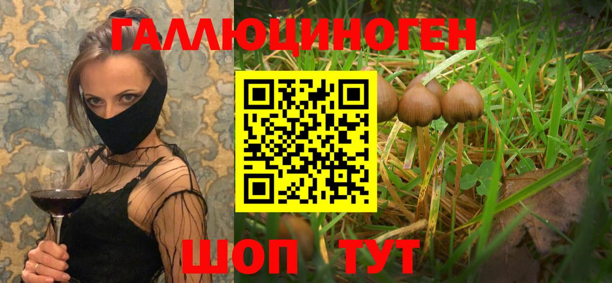 Галлюциногенные грибы Cubensis  Вход с VPN  Лесосибирск 